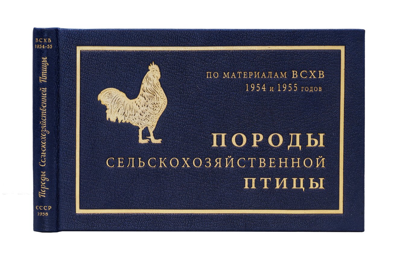 Породы сельскохозяйственной птицы: лучшие породы по материалам ВСХВ 1954–1955 годов