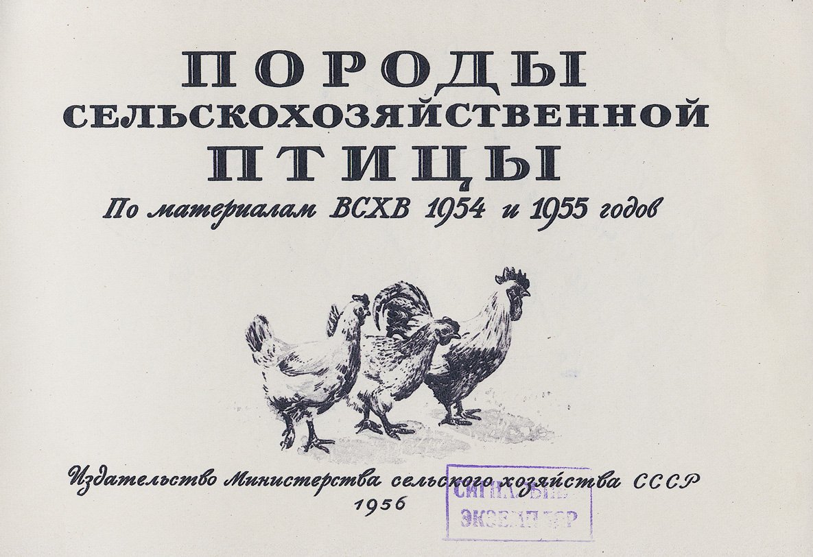 Породы сельскохозяйственной птицы: лучшие породы по материалам ВСХВ 1954–1955 годов