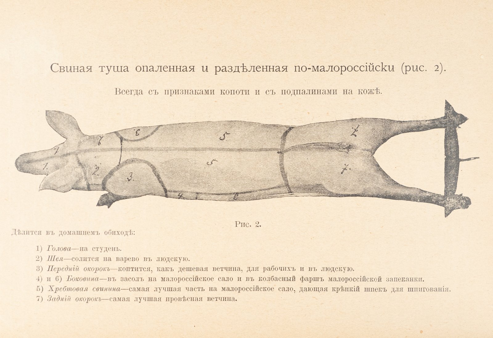 Практические основы кулинарного искусства. Учебник и рецептурный сборник