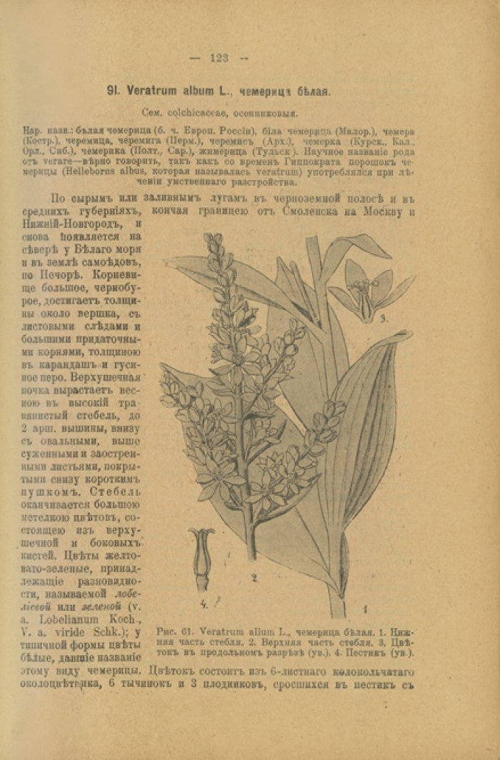 Русские лекарственные растения. Полное практическое руководство (в одном переплёте). Том 1–2
