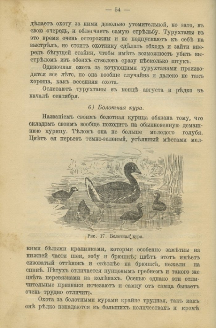 Л. Янсон и В.Л. Анцов. Конволют: охота на зверя и дичь (лесная, водяная и болотная). Практические руководства для начинающих охотников