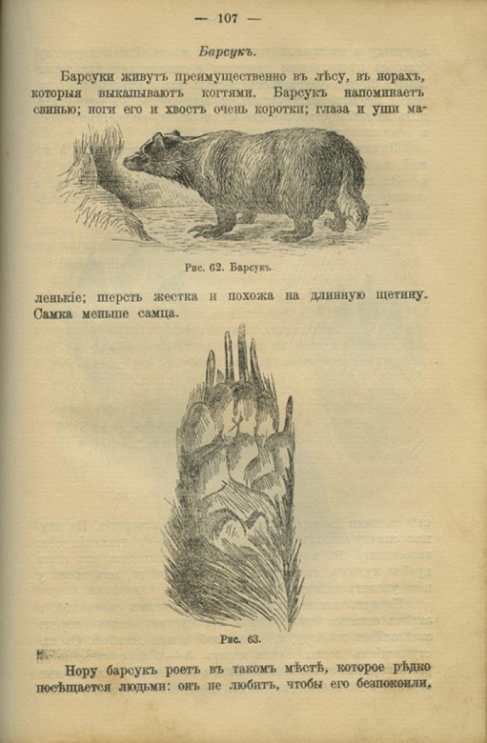 Л. Янсон и В.Л. Анцов. Конволют: охота на зверя и дичь (лесная, водяная и болотная). Практические руководства для начинающих охотников