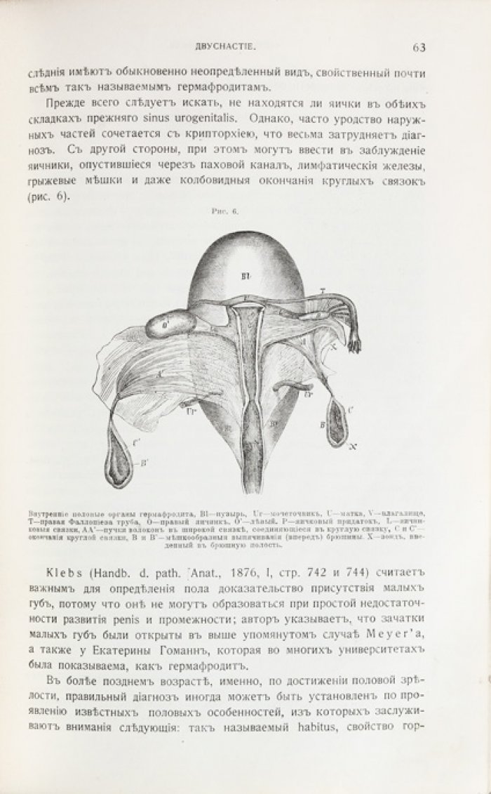 Учебник судебной медицины. Перевод с немецкого (под ред. Д.П. Косоротова)