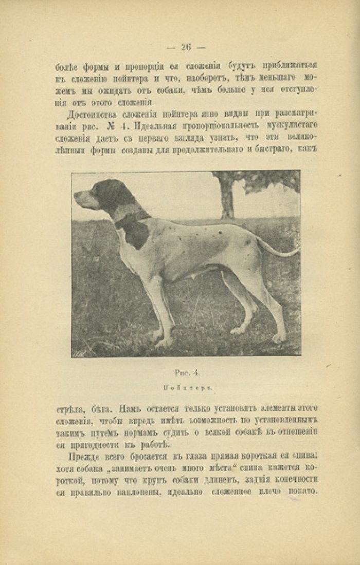 Оберлендер. Дрессировка и натаска подружейных собак (первое русское издание)