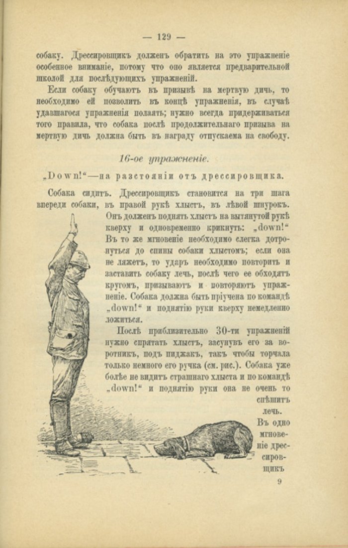 Оберлендер. Дрессировка и натаска подружейных собак (первое русское издание)