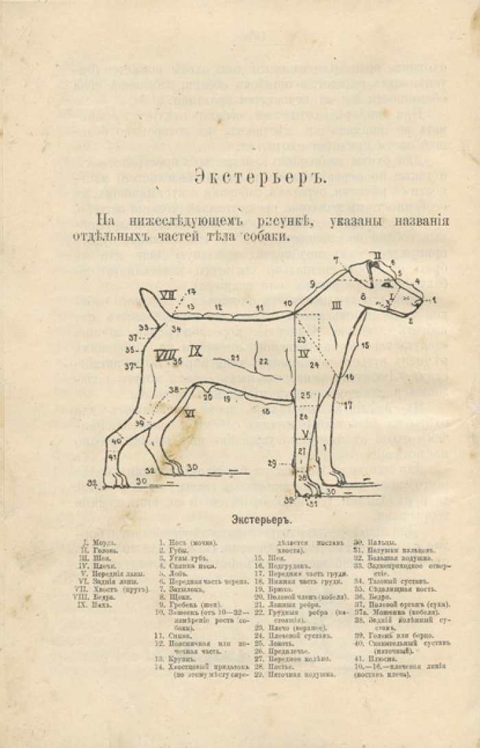 Наши собаки. Разведение, воспитание, кормление, содержание, дрессировка и выставки (настольное руководство для собаковладельца)