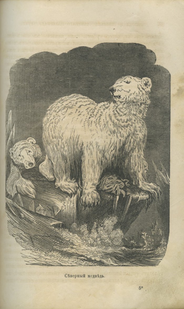 Путешествия и открытия второй Гринельской экспедиции (1853–1855). В северные полярные страны для отыскания сэра Джона Франклина