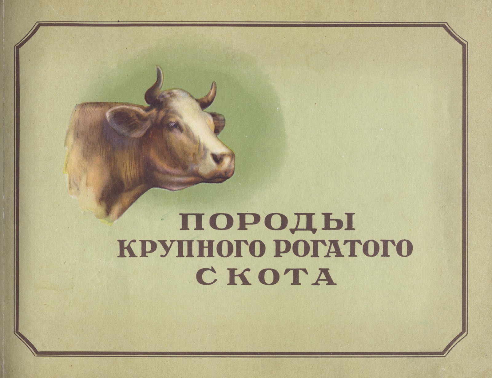 Породы крупного рогатого скота: альбом по материалам ВСХВ 1954 года