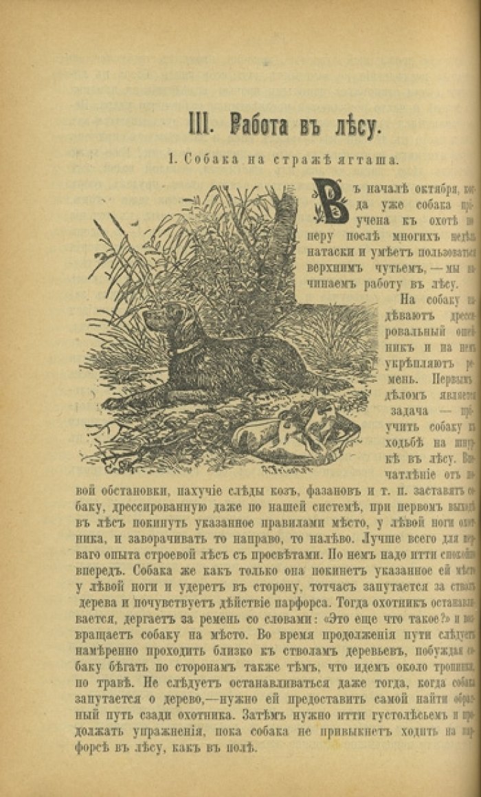 Конволют: «Дрессировка охотничьих (подружейных) собак» (2 дореволюционных издания)