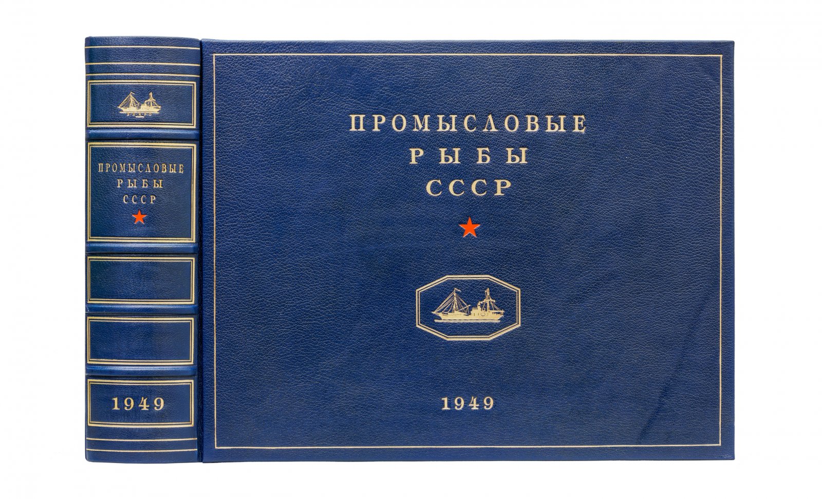 Промысловые рыбы СССР: атлас цветных рисунков и справочные описания