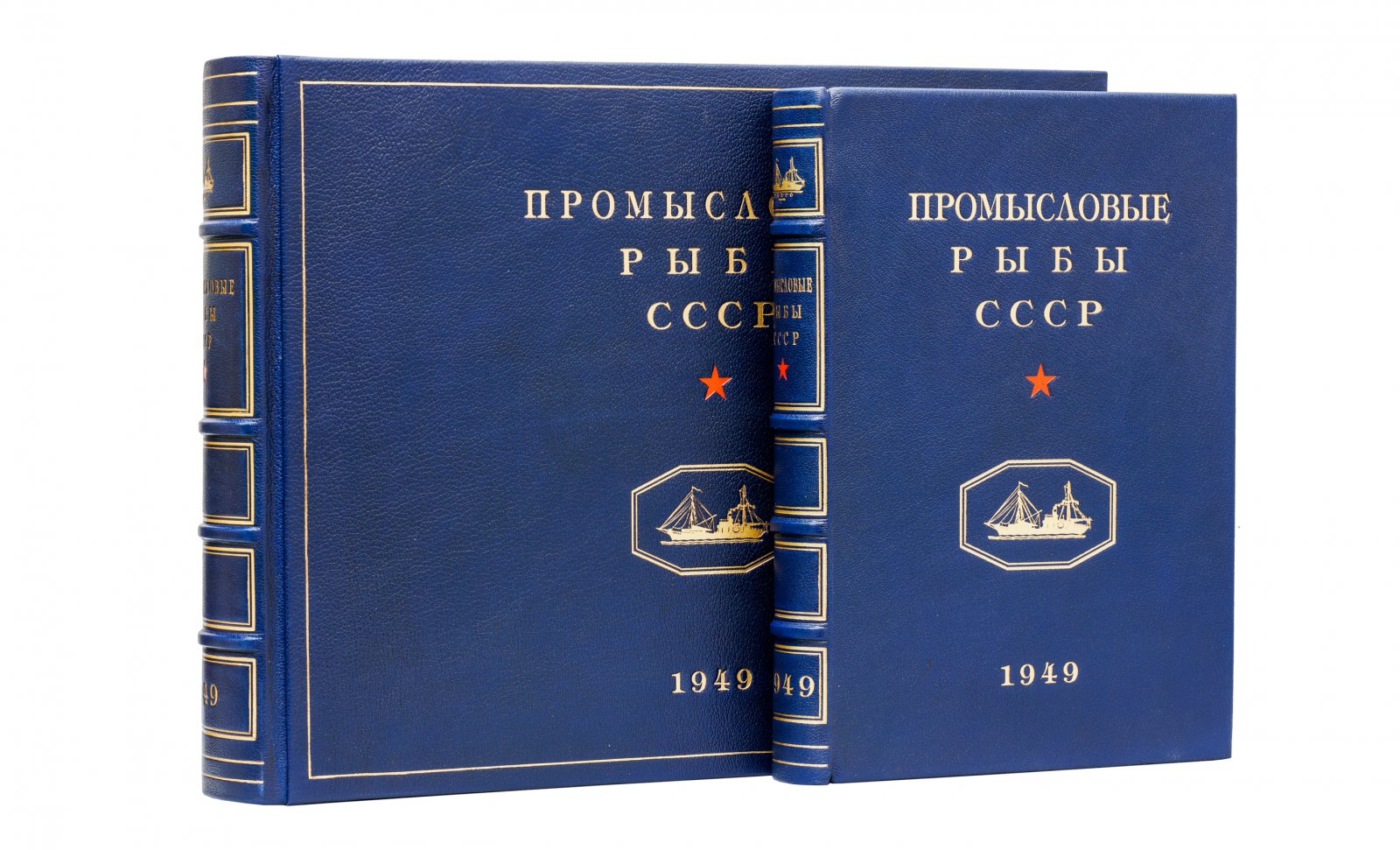 Промысловые рыбы СССР: атлас цветных рисунков и справочные описания