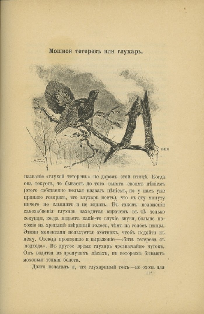 Руководство для начинающих охотиться с ружьём и легавой собакой (5-е издание)