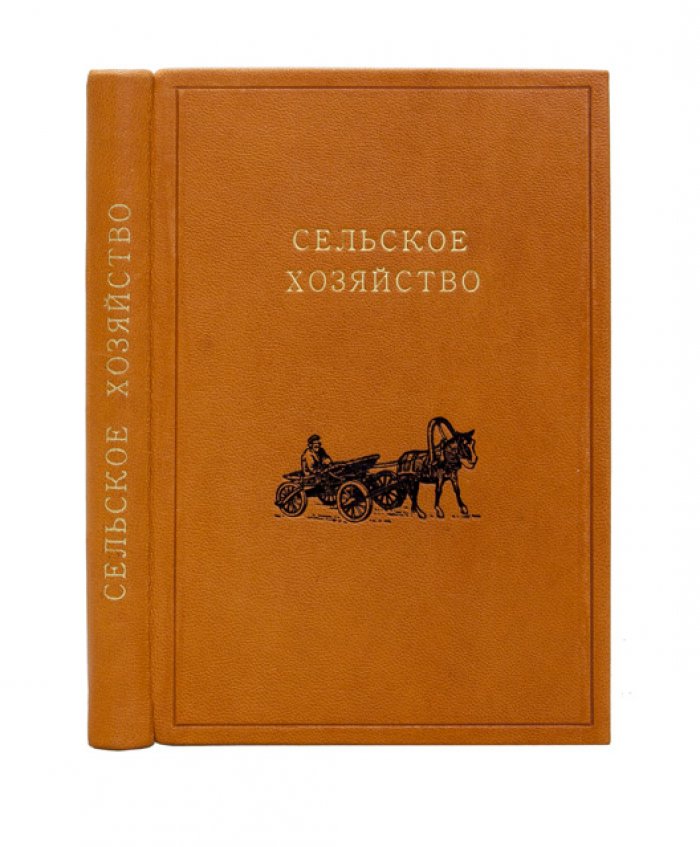 Сельское и молочное хозяйство: практическое руководство (земледелие, домашние животные, молочное хозяйство)