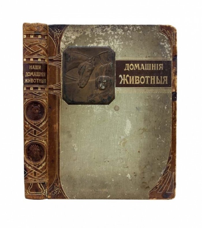 Наши домашние животные: лошади, коровы, собаки, птицы и другие (подарочное иллюстрированное издание)