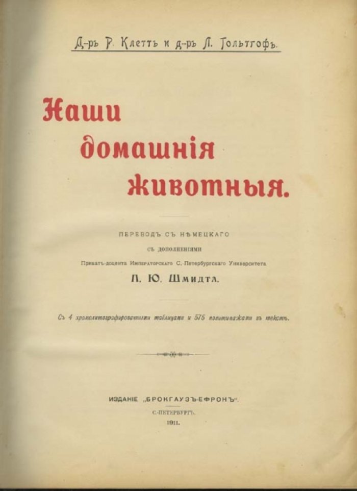 Наши домашние животные: лошади, коровы, собаки, птицы и другие (подарочное иллюстрированное издание)