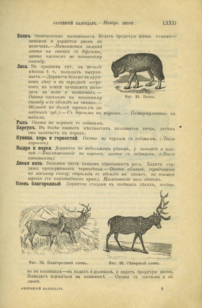 Охотничий календарь: справочная книга ружейных и псовых охотников