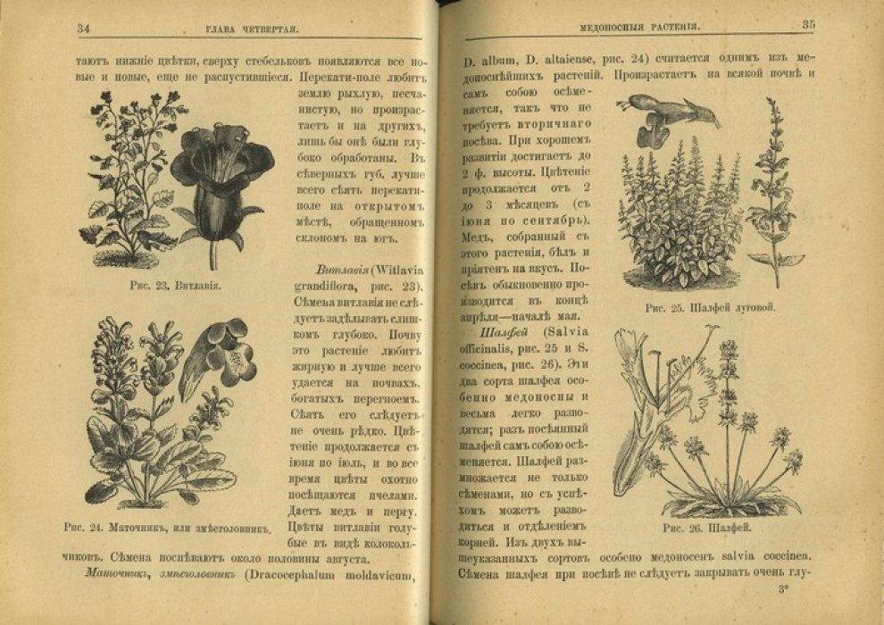 Справочная книжка для пчеловодов (практические сведения по разведению пчёл и продуктам пчеловодства)