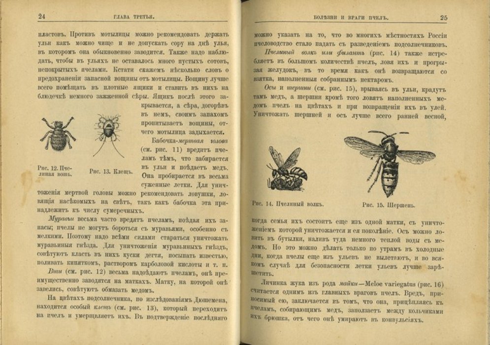 Справочная книжка для пчеловодов (практические сведения по разведению пчёл и продуктам пчеловодства)