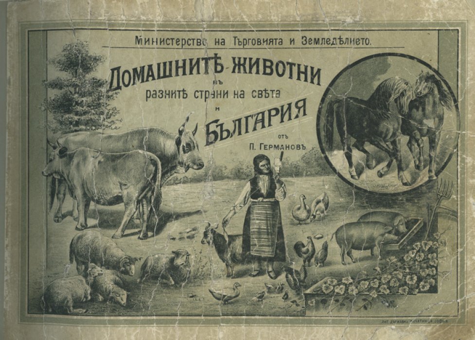 Домашние животные в разных странах мира и Болгарии: иллюстрированный альбом пород (на болгарском языке)